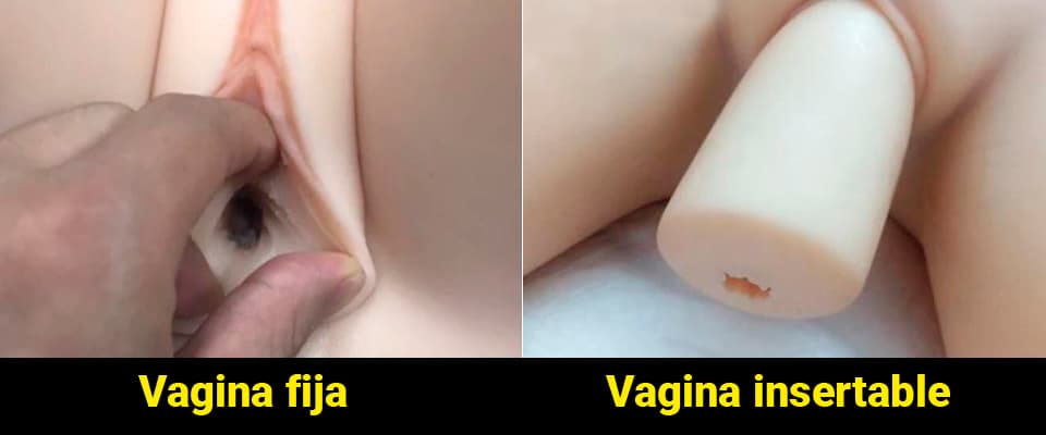 Vagina fija versus vagina insertable